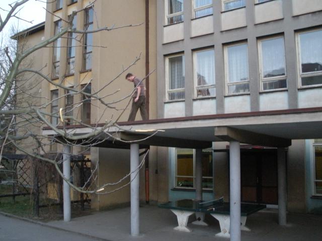 P4030290