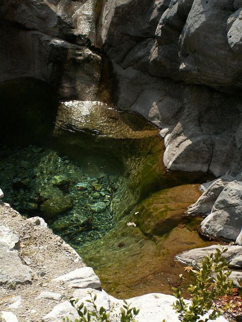 PICT0909.jpg