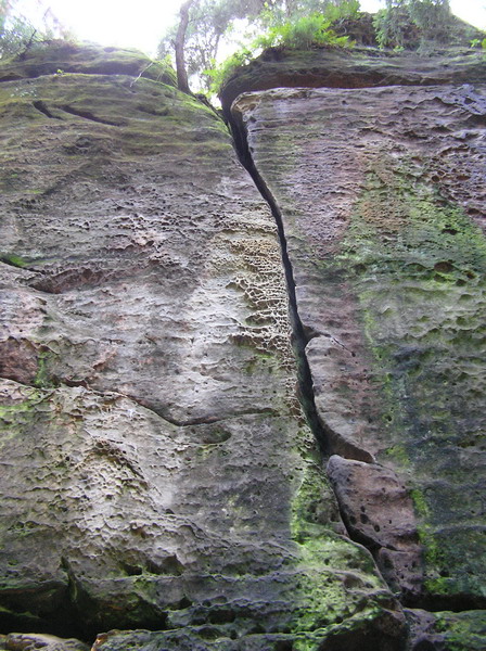 P8260067_resize