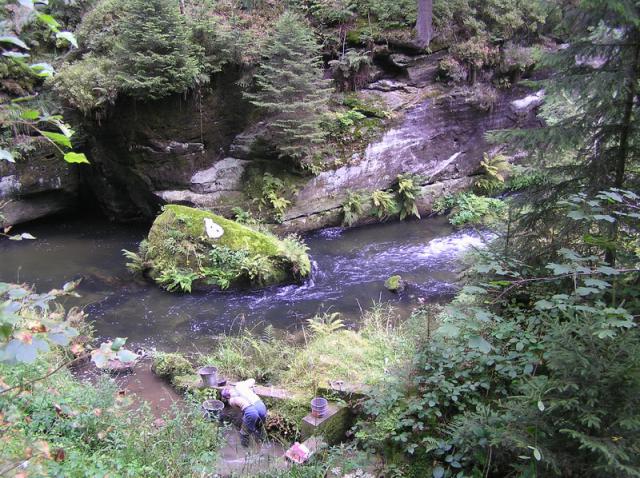 P8280177_resize