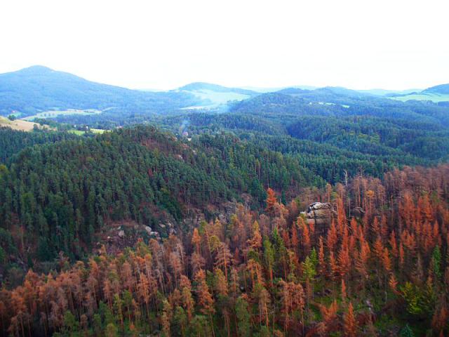 P1190724