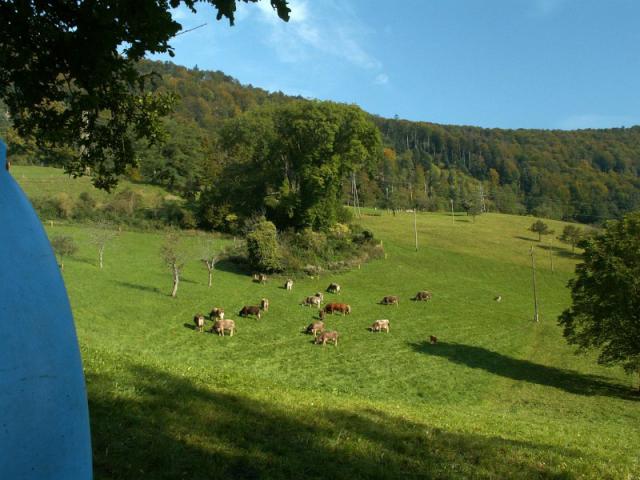 PICT8500.jpg