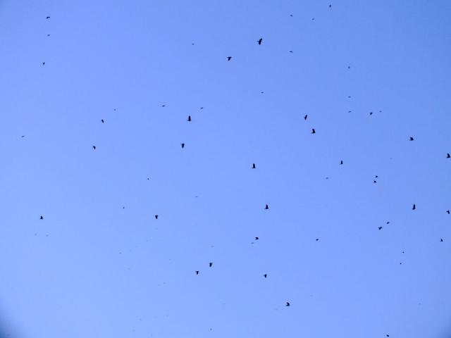 DSCF5589