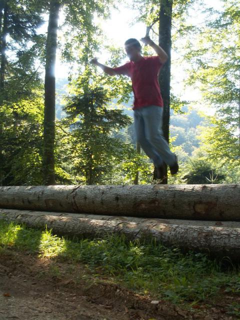 PICT8531.jpg