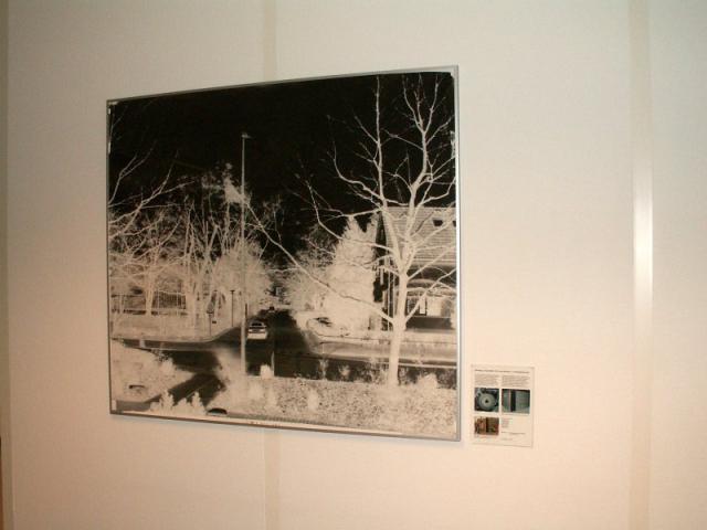 PICT8702.jpg