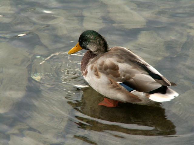 PICT8736.jpg