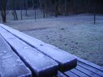 PICT0317