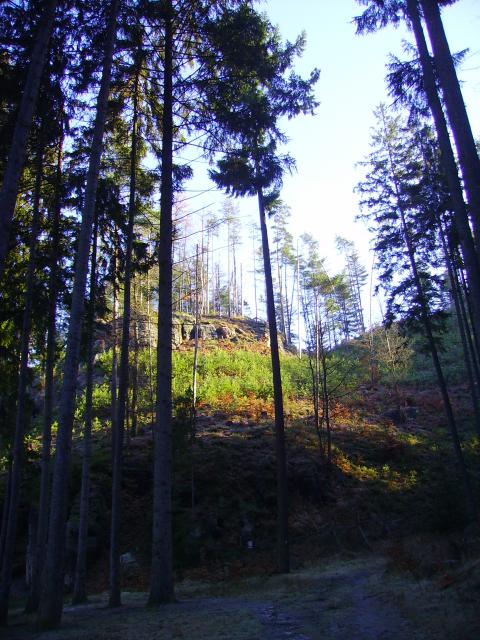 PICT0320