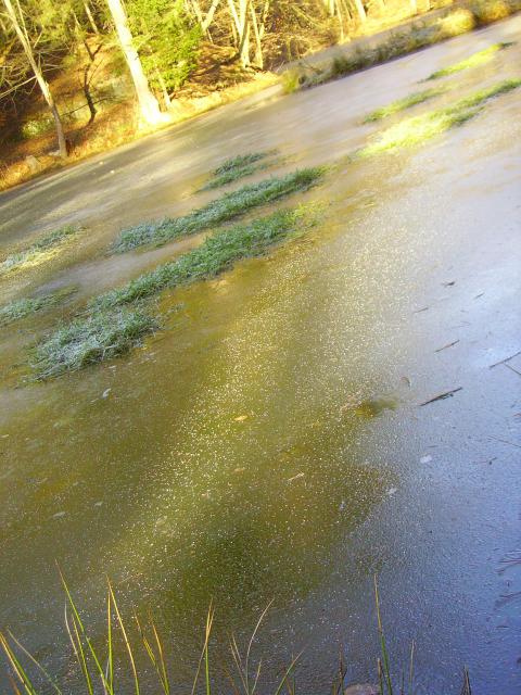 PICT0322