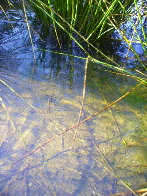 PICT0324