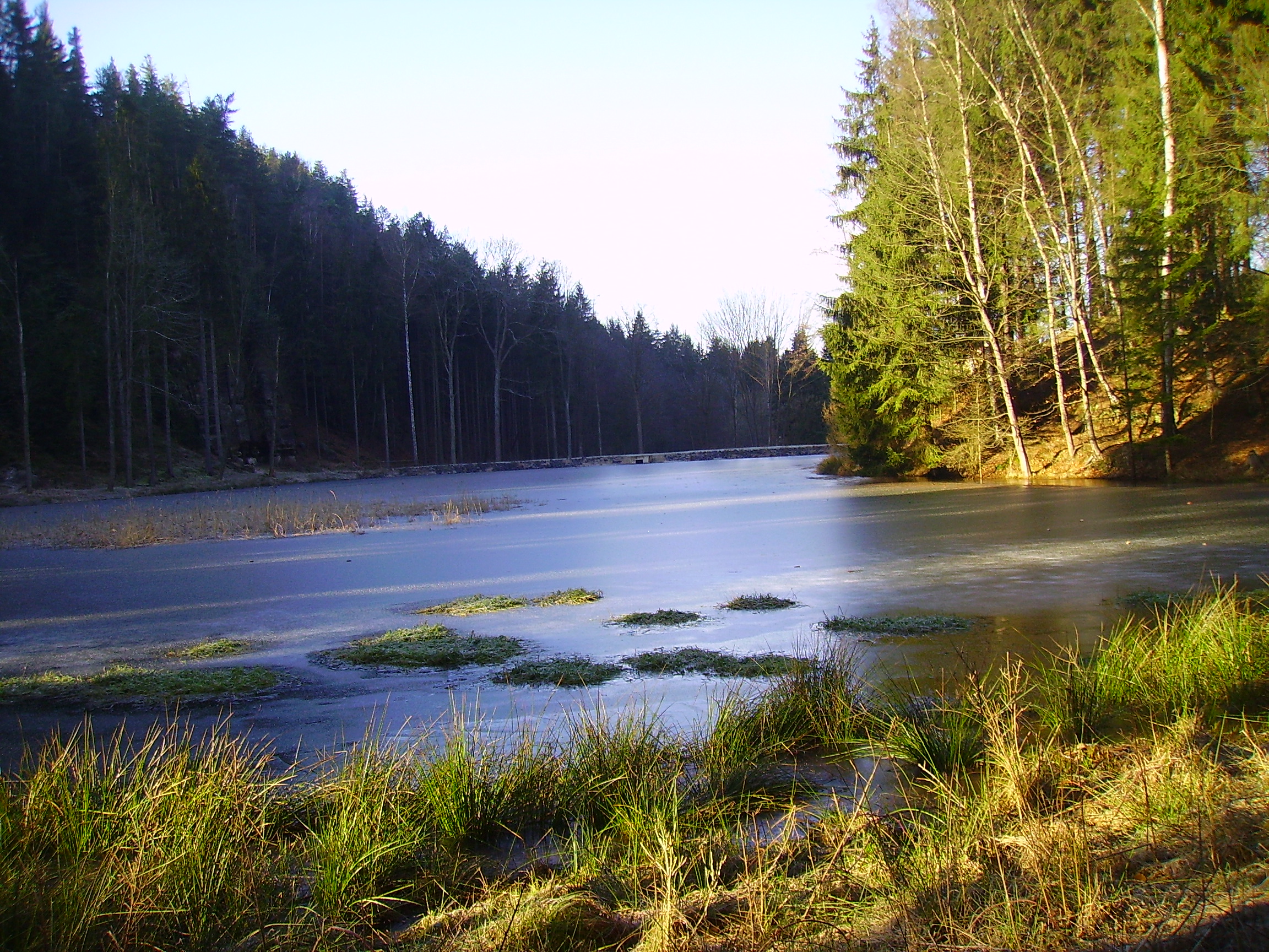 PICT0330