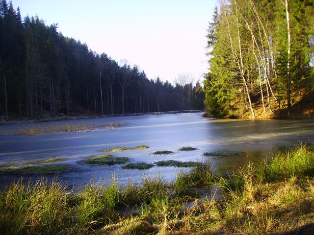 PICT0330