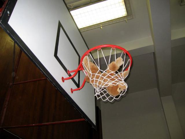 0022 Besinka v koi
