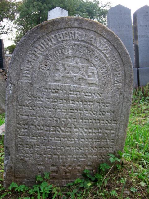 Vlachac05 017