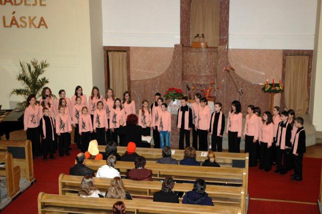 DSC_0132.jpg