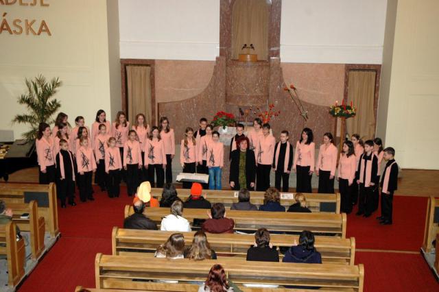 DSC_0133.jpg