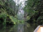 IMG_1602r
