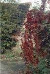 IMG01283013702A
