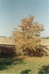 IMG01283175723A